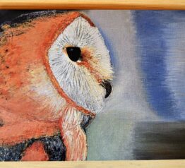 Owl-card