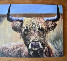 Highland-cow-placemat