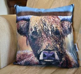 Highland-cow-cushion2