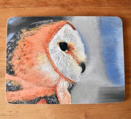 owl-placemat
